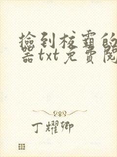 捡到校霸的遥控器txt免费阅读封面