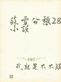苏雪公憩28篇小说