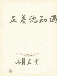 反差沈知遇晏应