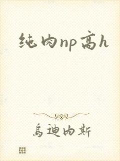纯肉np高h