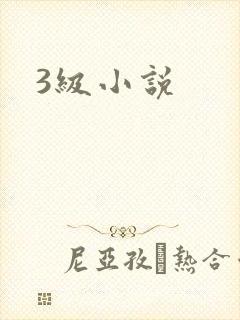 3级小说