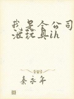 我是全公司的发泄玩具ih