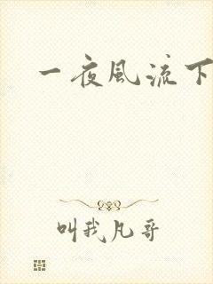 一夜风流下载