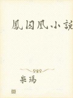 凤囚凰小说