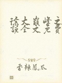 徐大巅峰之路小说全文免费阅读