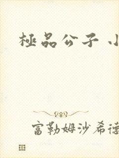 极品公子 小说封面