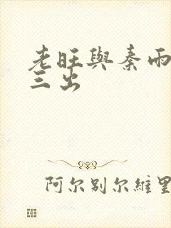老旺与秦雨三进三出封面