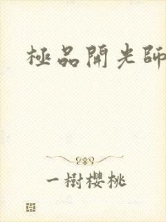 极品开光师