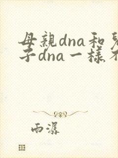 母亲dna和儿子dna一样不