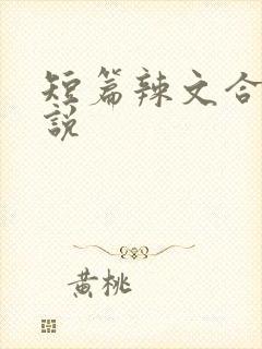 短篇辣文合集小说