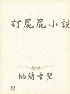 打屁屁小说封面