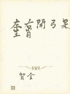 左右开弓是什么生肖