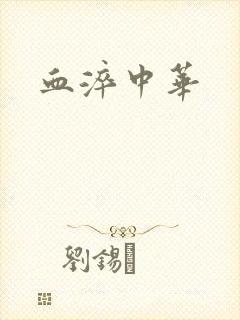 血淬中华