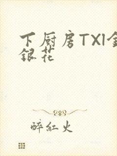 下厨房TXl金银花封面