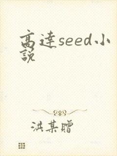 高达seed小说