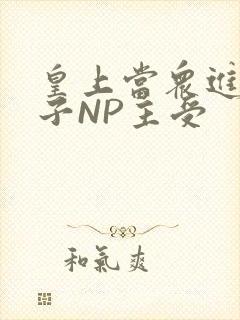 皇上当众进入太子NP主受