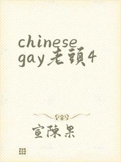 chinesegay老头4封面