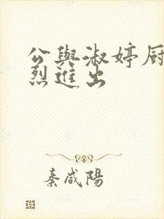 公与淑婷厨房猛烈进出