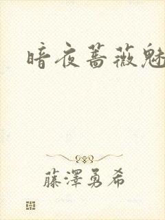 暗夜蔷薇魅