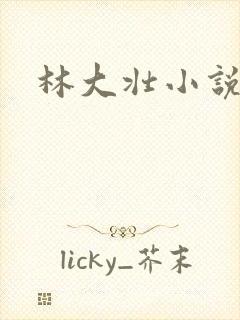 林大壮小说阅读