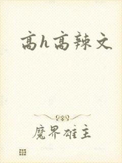 高h高辣文
