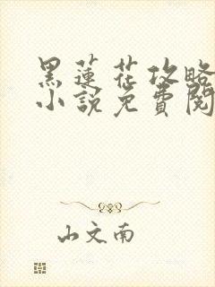 黑莲花攻略手册小说免费阅读