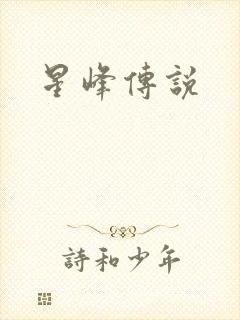星峰传说封面