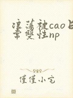 浪荡被cao日常双性np