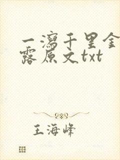 一泻千里金银花露原文txt