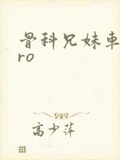 骨科兄妹车多pro