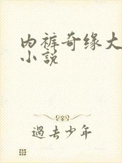 内裤奇缘大团结小说封面