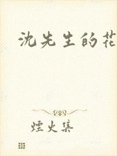 沈先生的花式调