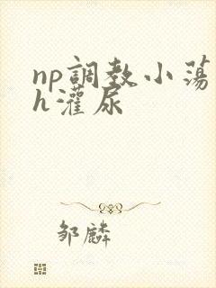 np调教小荡货h灌尿