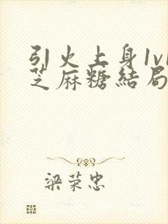 引火上身1v1芝麻糖结局封面