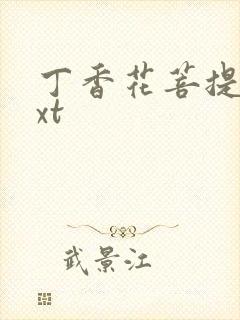 丁香花菩提树txt