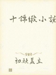 十锦缎小说