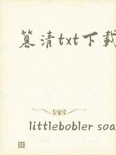 篡清txt下载