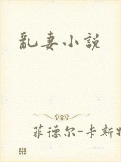 乱妻小说