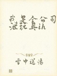 我是全公司的发泄玩具ih