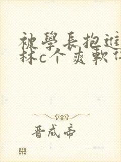 被学长抱进小树林c个爽软件