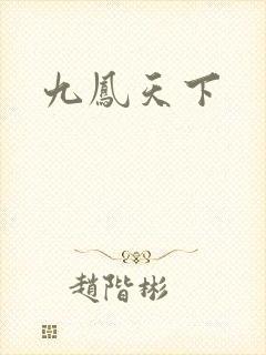 九凤天下