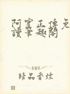 阿宾正传免费阅读笔趣阁