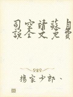 司空靖苏月汐小说全文免费阅读