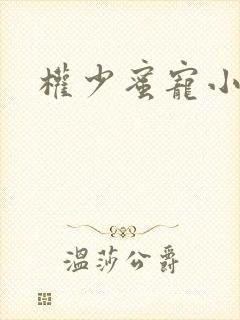 权少蜜宠小娇妻