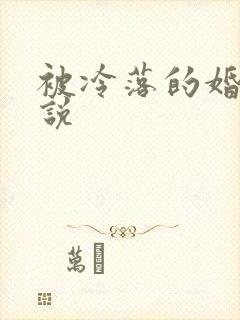 被冷落的婚姻小说