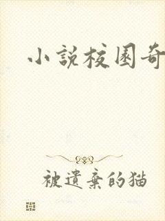 小说校园奇侠