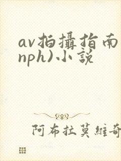 av拍摄指南(nph)小说