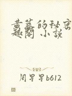 黄蓉的秘密 笔趣阁 小说