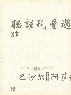 听说我爱过你txt封面