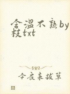 含温不熟by词枝txt封面